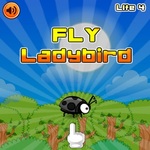 Fly LadyBird